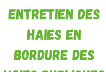 Élagage et Entretien des haies en bordure des voies publiques