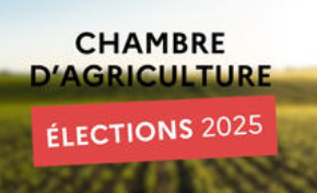 Elections 2025 des membres de la chambre d’agriculture du GARD